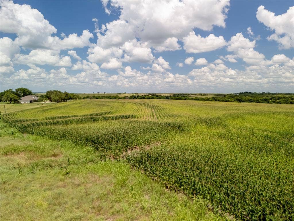 View of nature featuring rows of crops and rural landscape