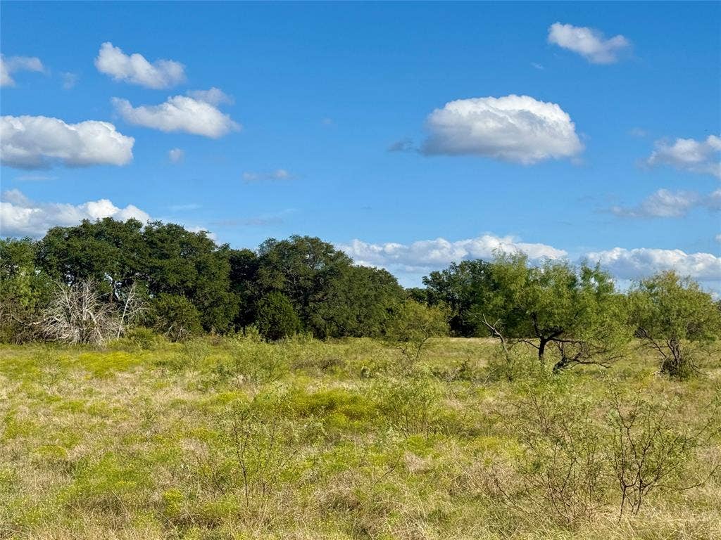 TBD CR 255, Blanket, TX 76432