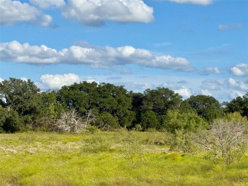 TBD CR 255, Blanket, TX 76432