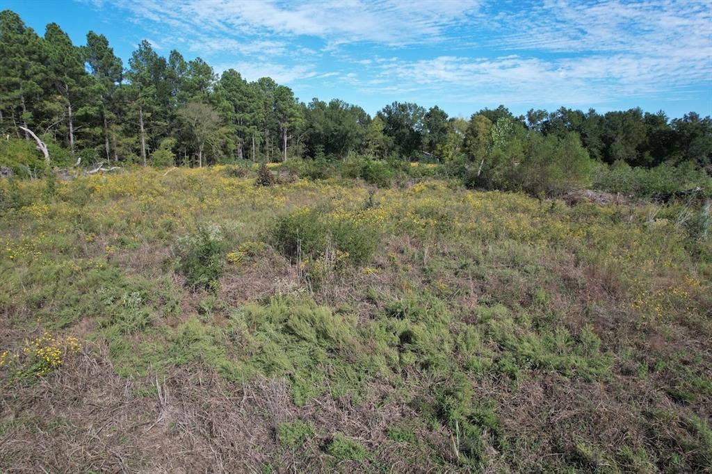 1184 S Fairway Street, Fairfield, TX 75840 1184 S Fairway Street, Fairfield, TX 75840