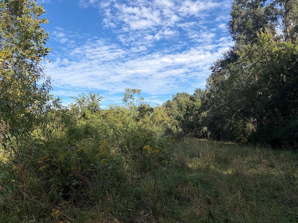 1184 S Fairway Street, Fairfield, TX 75840 1184 S Fairway Street, Fairfield, TX 75840