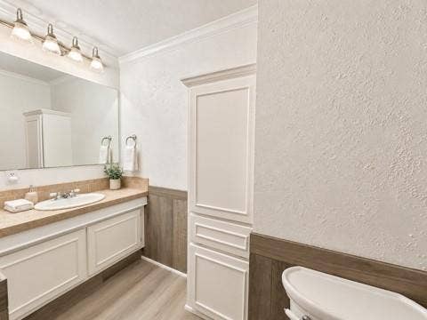 13672 County Road 2915, Eustace, TX 75124 Bathroom featuring a built-in floor-to-ceiling storage cabinet, vanity with a light-tone countertop, oval undermount sink, multi-light fixture, and wood-finish wainscoting