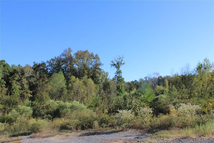 Property photo for 0 Foxtrot, Mansfield, LA