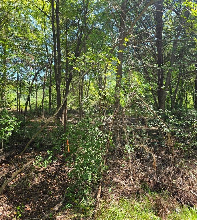 Lot is located walking distance to the lake