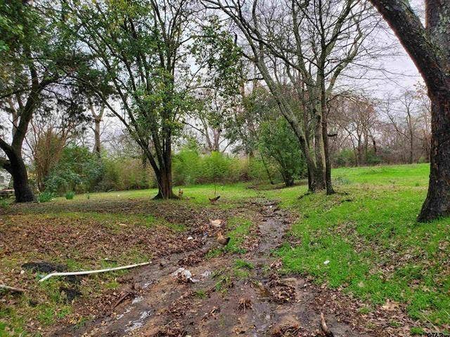 1621 E Front Street, Tyler, TX 75702 Expansive lot featuring mature hardwood trees, natural terrain, and extensive green space