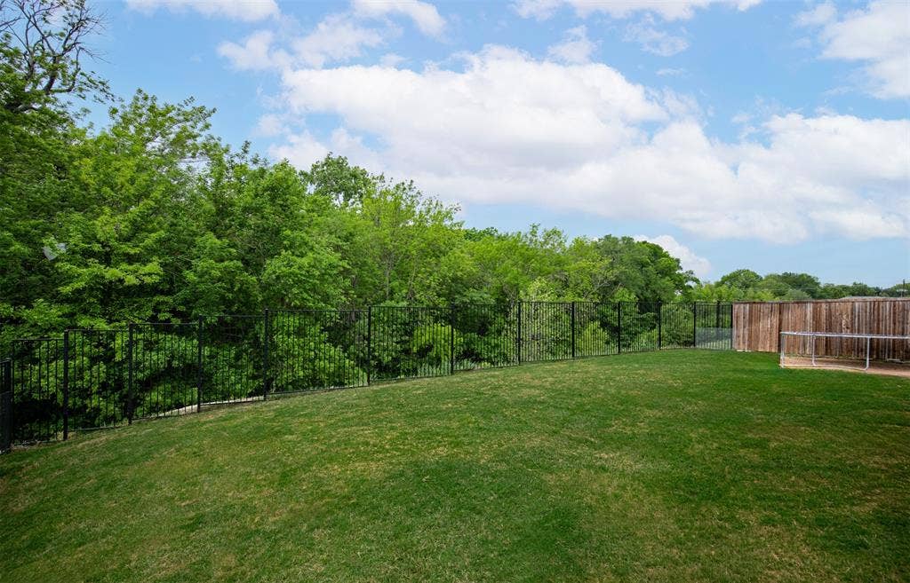 Tree lined backyard.