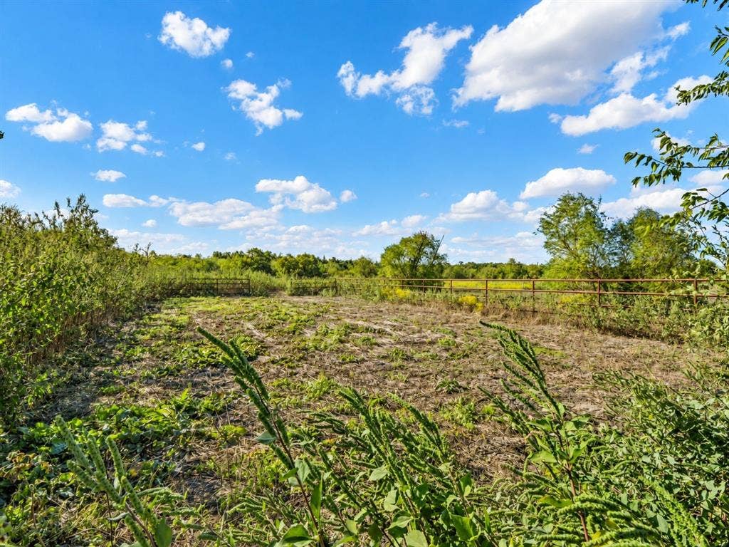 1528 CR 697, Farmersville, TX 75442 Expansive lot featuring mature trees, natural vegetation, and metal perimeter fencing