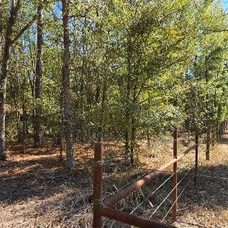 Property photo for 0 Farmer Road, Sarepta, LA