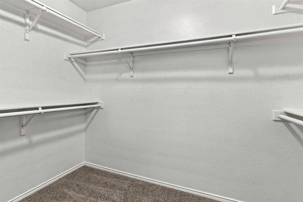Walk-in storage space featuring multi-level white shelving and integrated clothing rods with textured wall finish and wall-to-wall carpeting