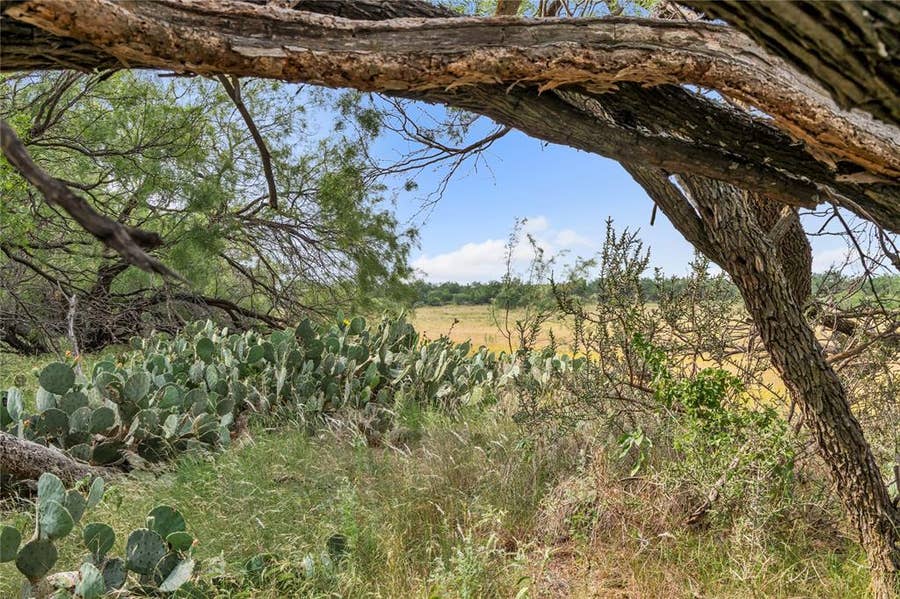 Property photo for 14175 Highway 6, Moran, TX