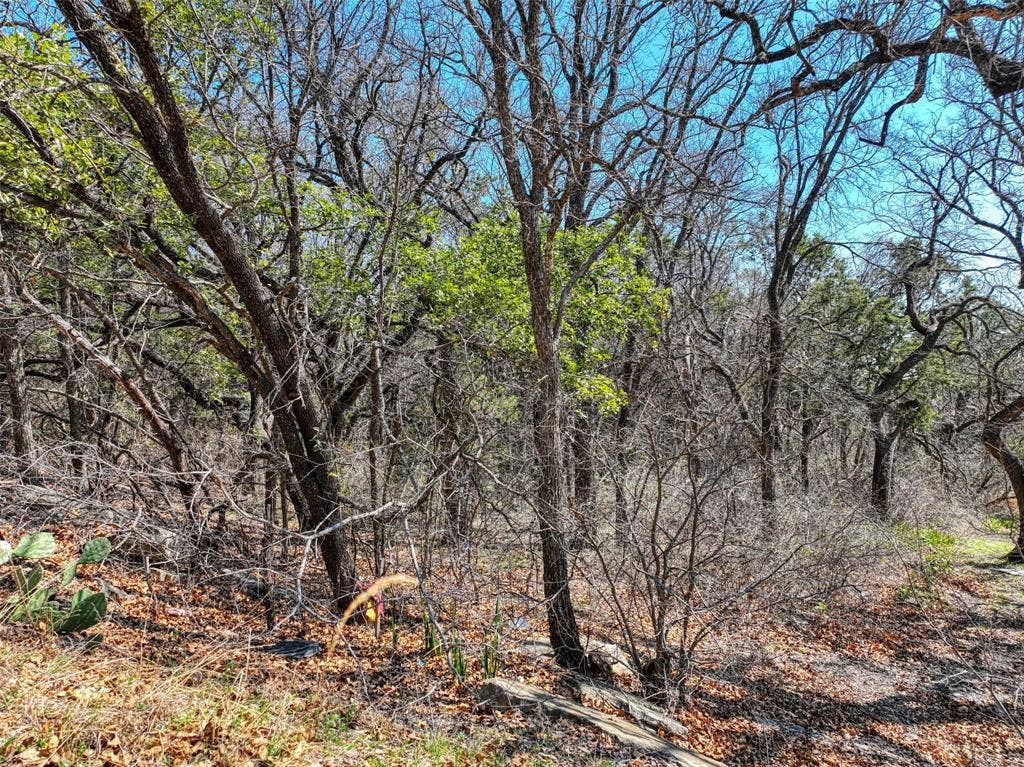 1115 Brazos Drive, Granbury, TX 76048 1115 Brazos Drive, Granbury, TX 76048