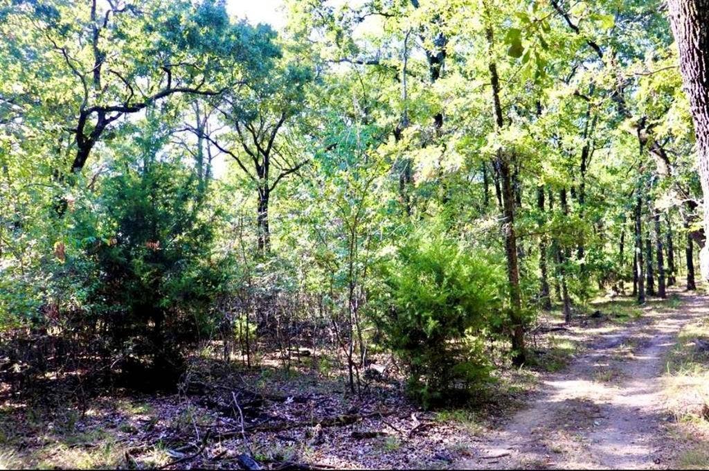 801 Wood Duck Trace, Quinlan, TX 75474 801 Wood Duck Trace, Quinlan, TX 75474