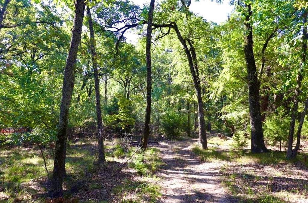 801 Wood Duck Trace, Quinlan, TX 75474 801 Wood Duck Trace, Quinlan, TX 75474