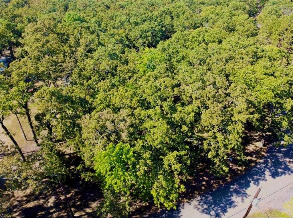 801 Wood Duck Trace, Quinlan, TX 75474 801 Wood Duck Trace, Quinlan, TX 75474