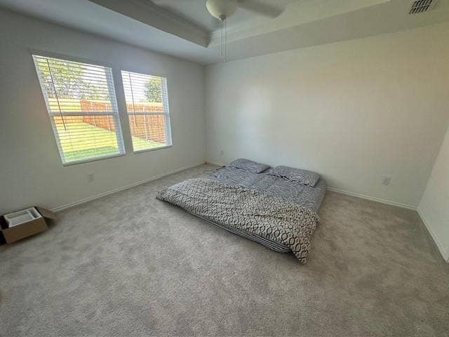 821 POPPY COVE Lane, Princeton, TX 75407 Interior room featuring a tray ceiling, ceiling fan, carpeted flooring, and windows with horizontal blinds