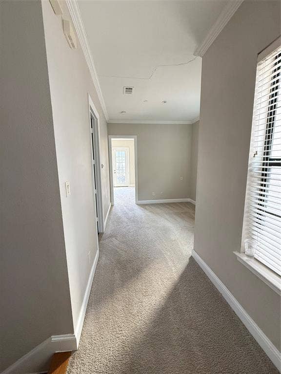 1025 Emerson Park Lane, Irving, TX 75063 Neutral-toned interior featuring wall-to-wall carpeting, crown molding, and windows fitted with horizontal blinds