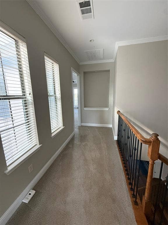 1025 Emerson Park Lane, Irving, TX 75063 Hallway featuring neutral wall tones, inset wall niche, carpeted flooring, and a decorative metal stair railing with a wooden handrail