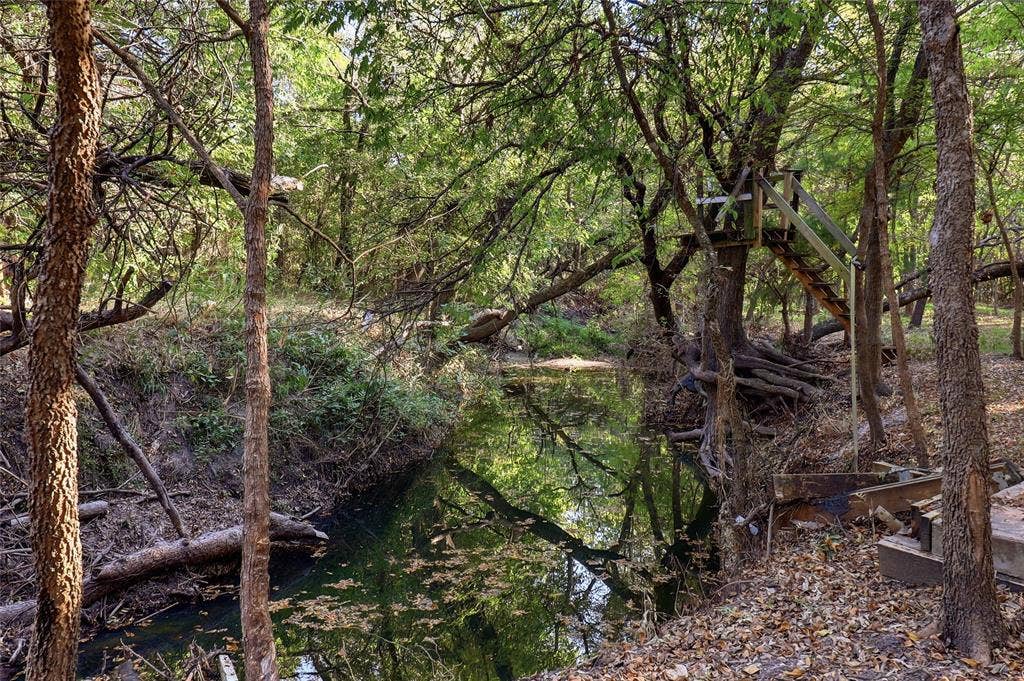 1614 Jeffrey Drive, Wylie, TX 75098 Peaceful creek flows through the rear of the property.