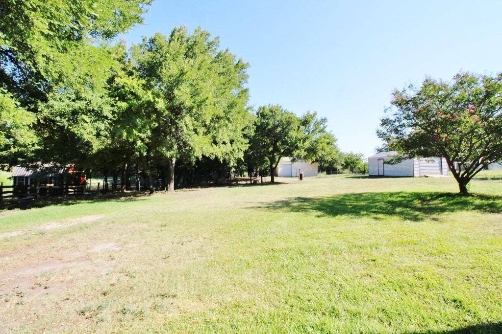 Large shared back yard