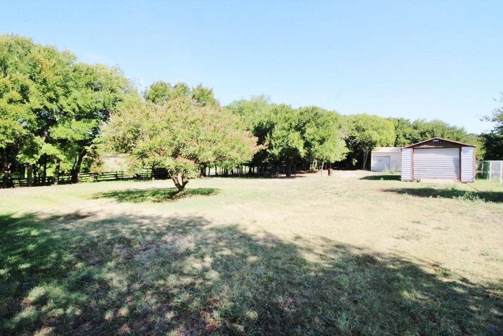 Large shared back yard