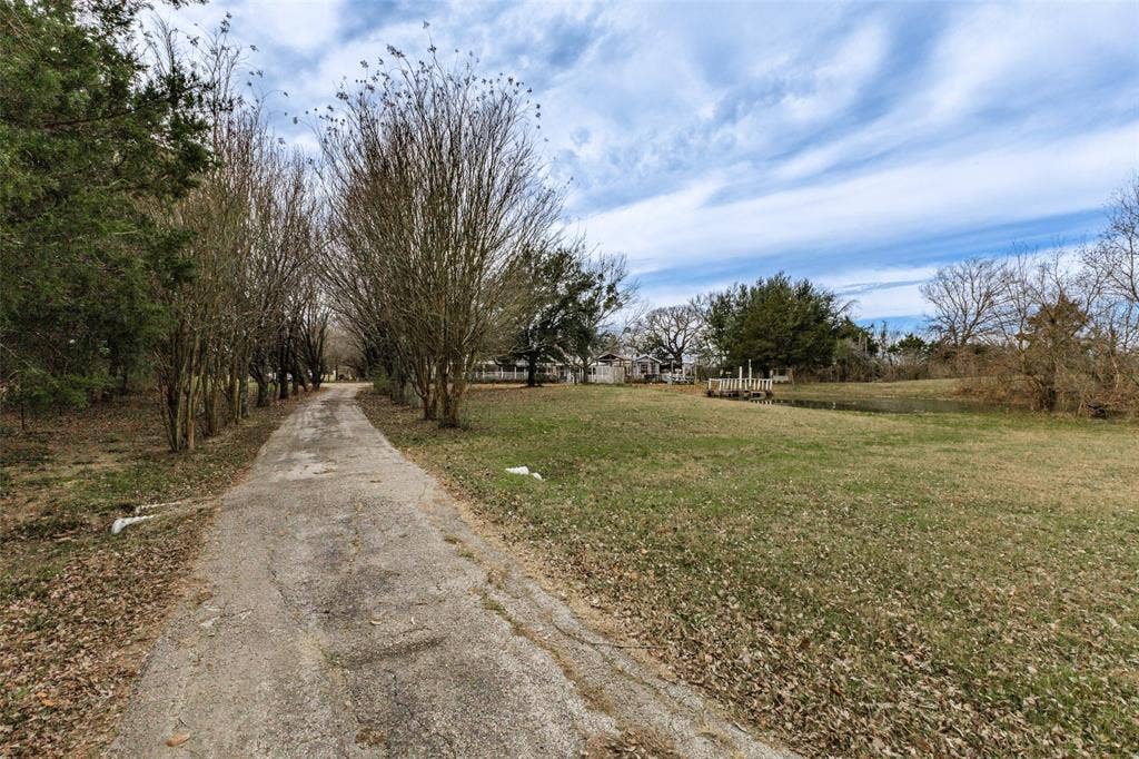 9459 County Road 313, Terrell, TX 75161 Treelined driveway