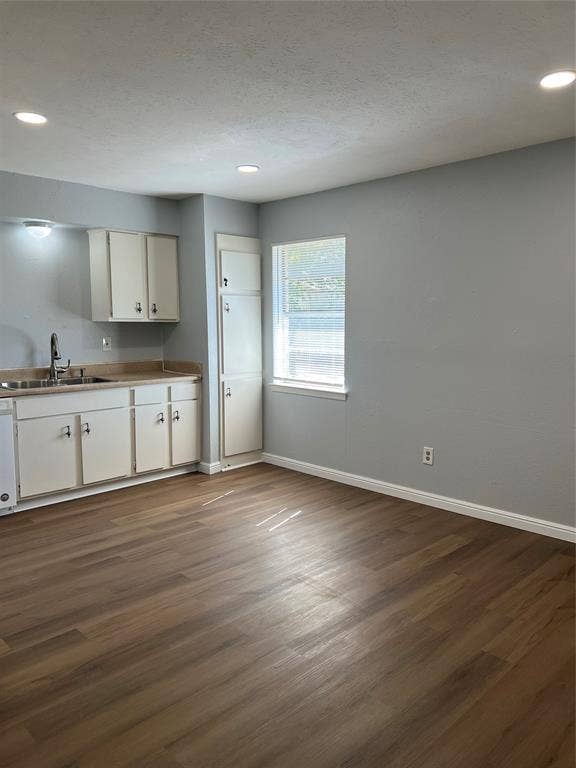 102 Silver Creek Drive, Duncanville, TX 75137 Kitchen featuring wood-finish flooring, white cabinetry, integrated vertical storage pantry, recessed lighting, and a stainless steel sink with a high-arch faucet