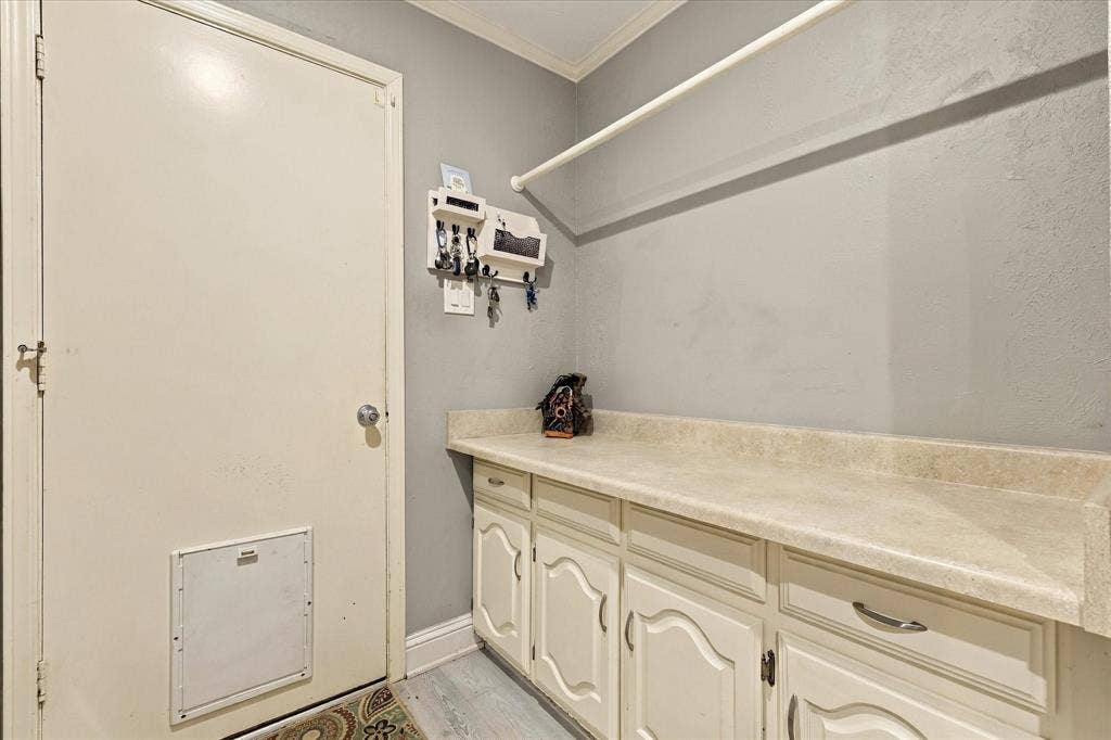 2117 Northmoor Drive, Carrollton, TX 75006 Built-in cabinetry with integrated countertop, wall-mounted hanging rod, and door featuring a pet access panel