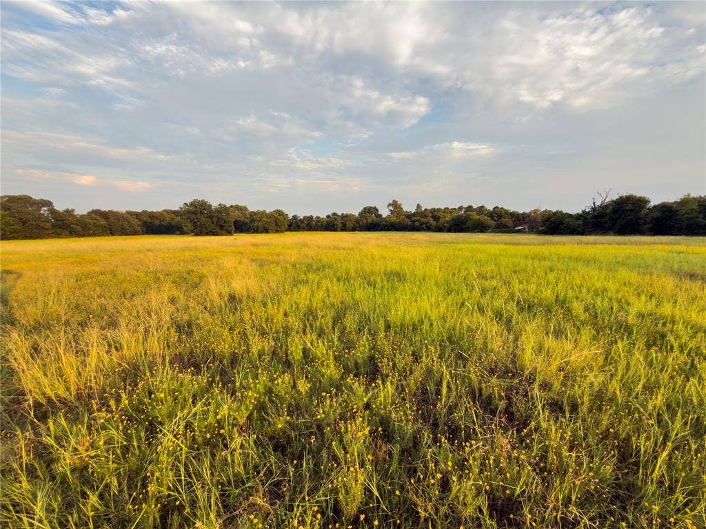 Lot 4 Wilson Road, Waco, TX 76705 Lot 4 Wilson Road, Waco, TX 76705