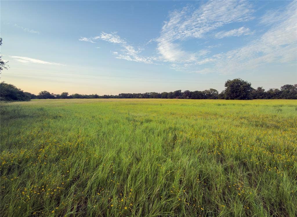 Lot 5 Wilson Road, Waco, TX 76705 Lot 5 Wilson Road, Waco, TX 76705