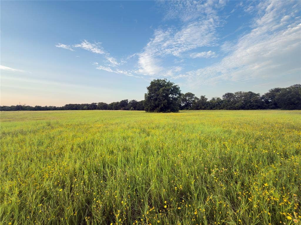 Lot 5 Wilson Road, Waco, TX 76705 Lot 5 Wilson Road, Waco, TX 76705