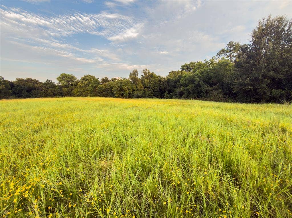 Lot 10 Wilson Road, Waco, TX 76705 Lot 10 Wilson Road, Waco, TX 76705