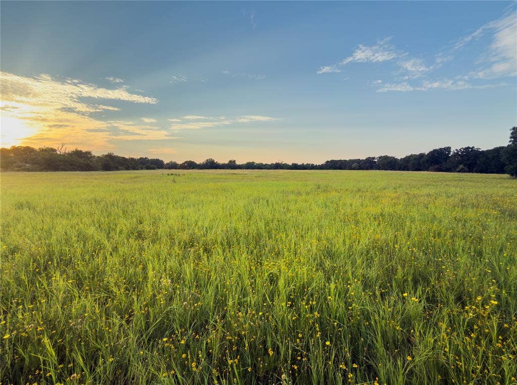 Lot 11 Wilson Road, Waco, TX 76705 Lot 11 Wilson Road, Waco, TX 76705