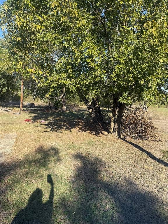 310 N ELM, Mart, TX 76664 Expansive lot featuring mature deciduous trees and open grounds