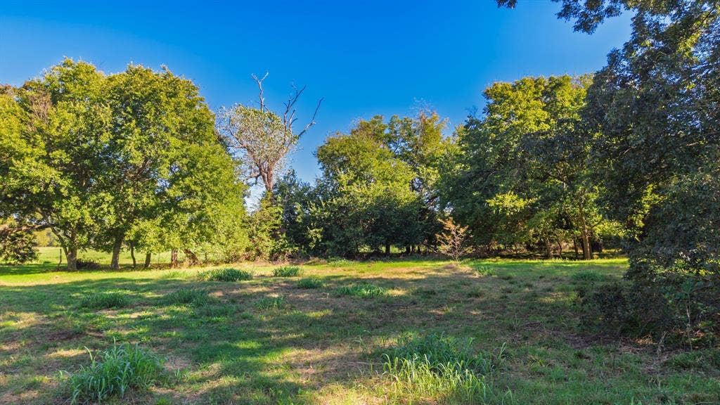 88 Acres County Road 1019, Celeste, TX 75423 88 Acres County Road 1019, Celeste, TX 75423