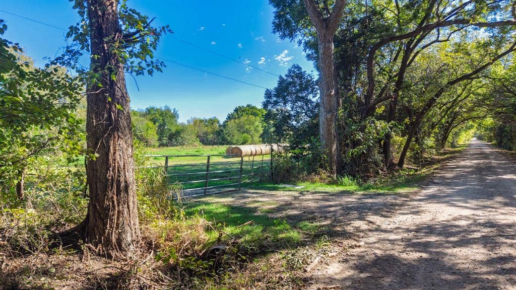 88 Acres County Road 1019, Celeste, TX 75423 88 Acres County Road 1019, Celeste, TX 75423