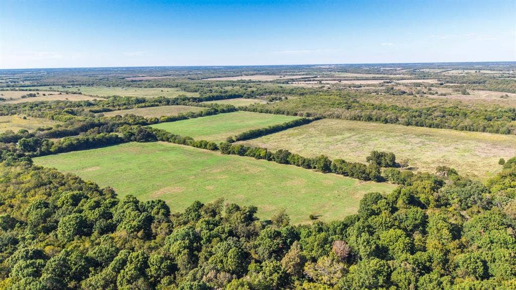 88 Acres County Road 1019, Celeste, TX 75423 88 Acres County Road 1019, Celeste, TX 75423