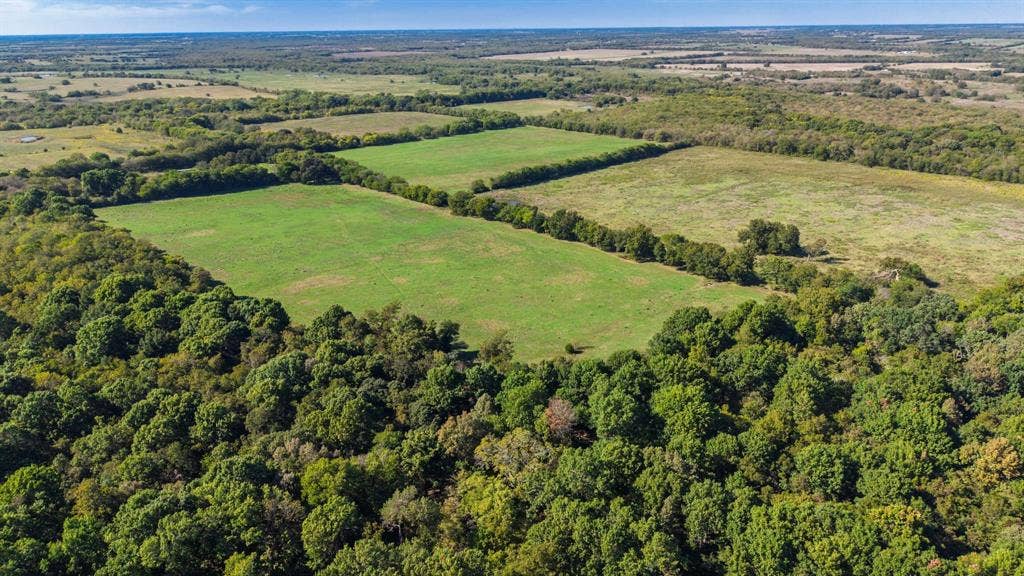 88 Acres County Road 1019, Celeste, TX 75423 88 Acres County Road 1019, Celeste, TX 75423