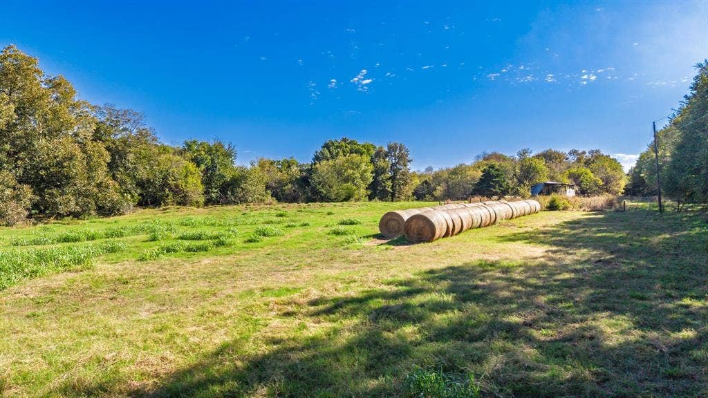 88 Acres County Road 1019, Celeste, TX 75423 88 Acres County Road 1019, Celeste, TX 75423