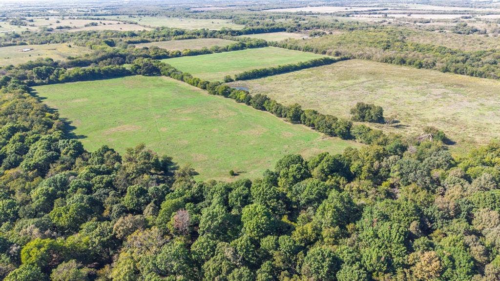 88 Acres County Road 1019, Celeste, TX 75423 88 Acres County Road 1019, Celeste, TX 75423