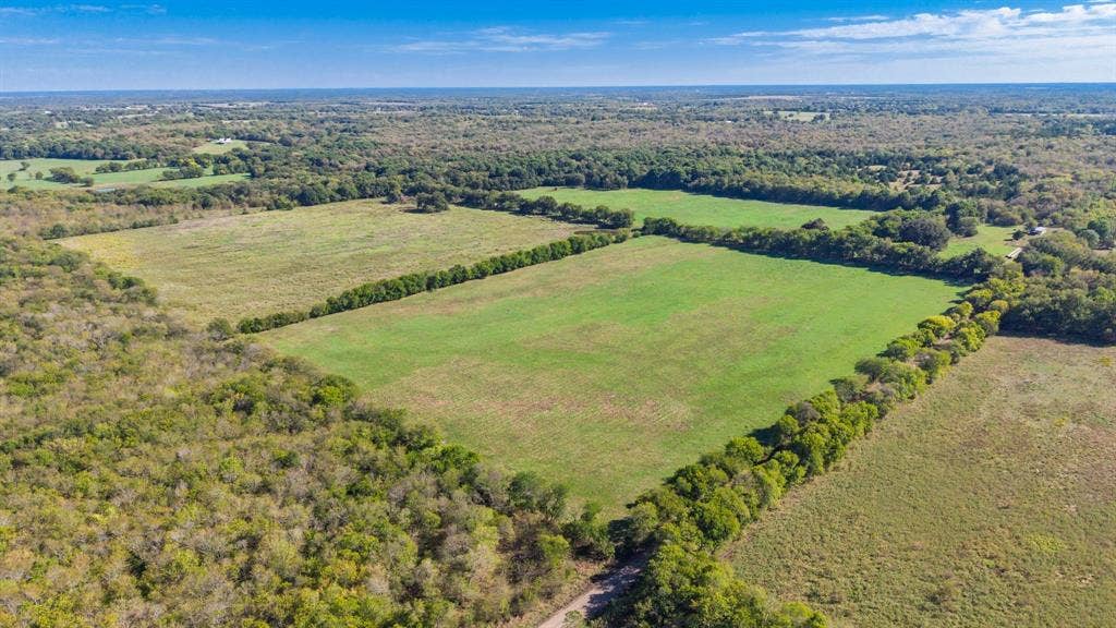 88 Acres County Road 1019, Celeste, TX 75423 88 Acres County Road 1019, Celeste, TX 75423