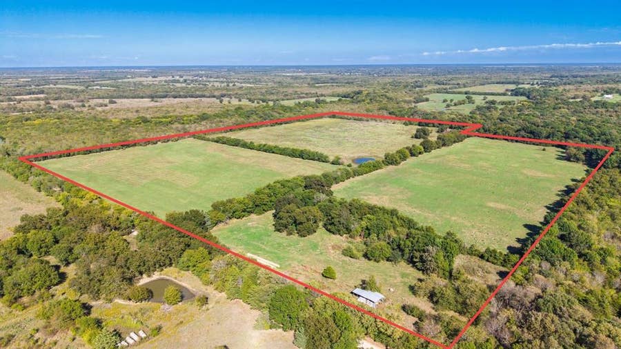 Property photo for 88 Acres County Road 1019, Celeste, TX