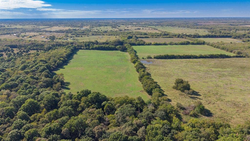 88 Acres County Road 1019, Celeste, TX 75423 88 Acres County Road 1019, Celeste, TX 75423