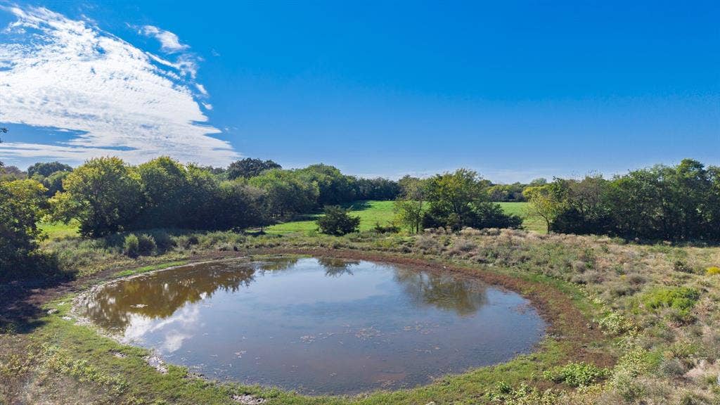 88 Acres County Road 1019, Celeste, TX 75423 88 Acres County Road 1019, Celeste, TX 75423