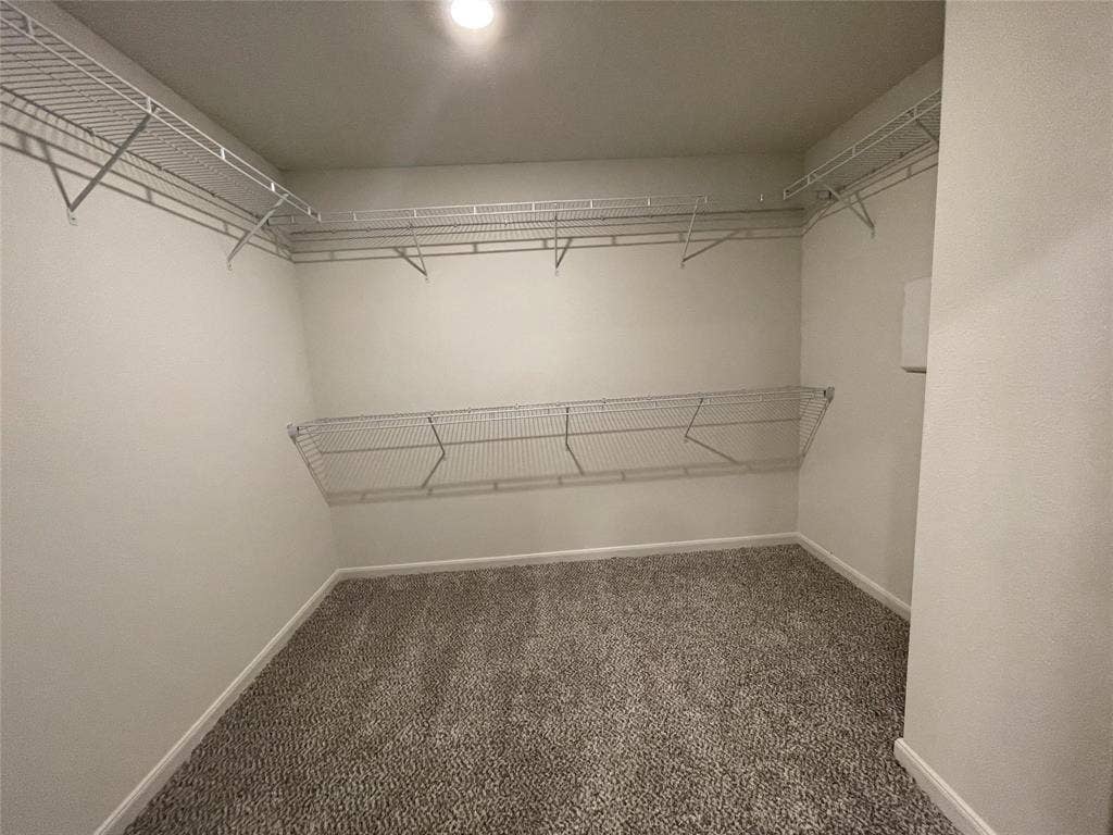 Walk-in closet featuring wall-to-wall carpeting and tiered white wire shelving