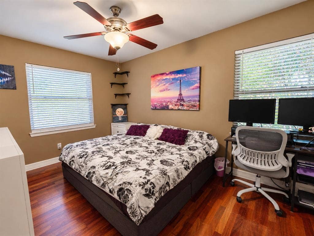 Room featuring wood-finish flooring, a ceiling fan with integrated lighting, dual windows with blinds, and wall-mounted shelving