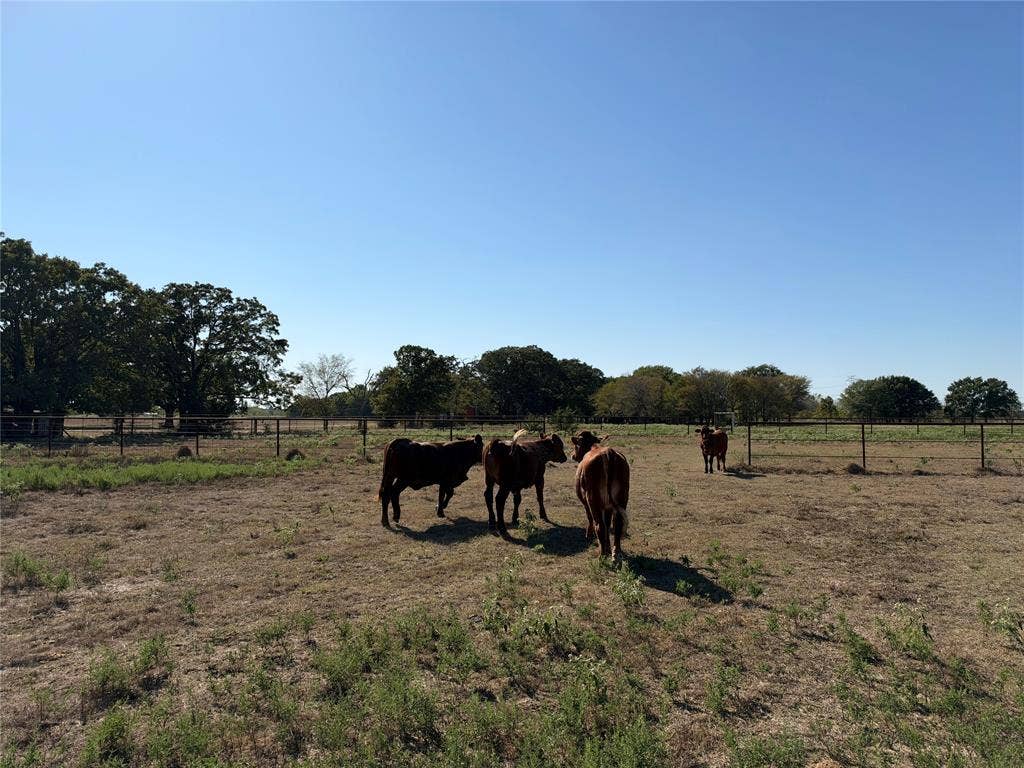 9636 Fm 3094, Scurry, TX 75158 9636 Fm 3094, Scurry, TX 75158