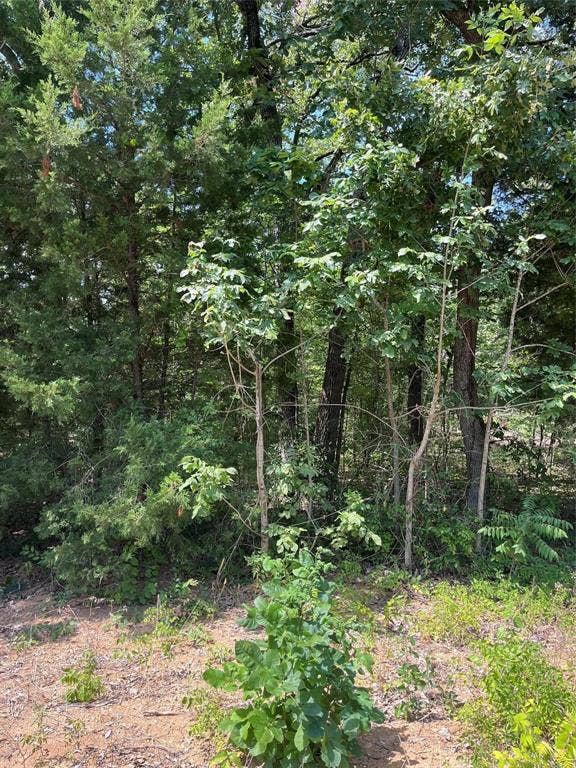 106 Red Bluff Loop, Mabank, TX 75156 106 Red Bluff Loop, Mabank, TX 75156