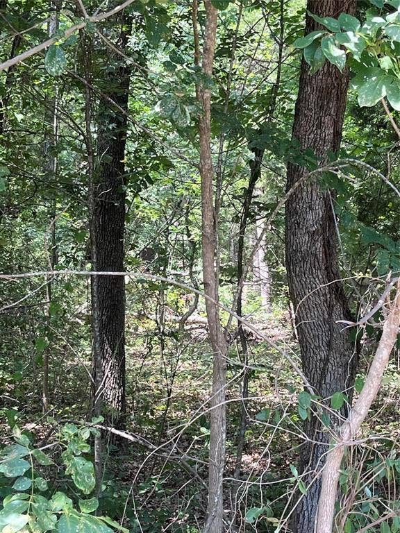 Property photo for 106 Red Bluff Loop, Mabank, TX