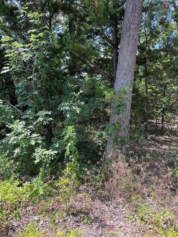 106 Red Bluff Loop, Mabank, TX 75156 106 Red Bluff Loop, Mabank, TX 75156