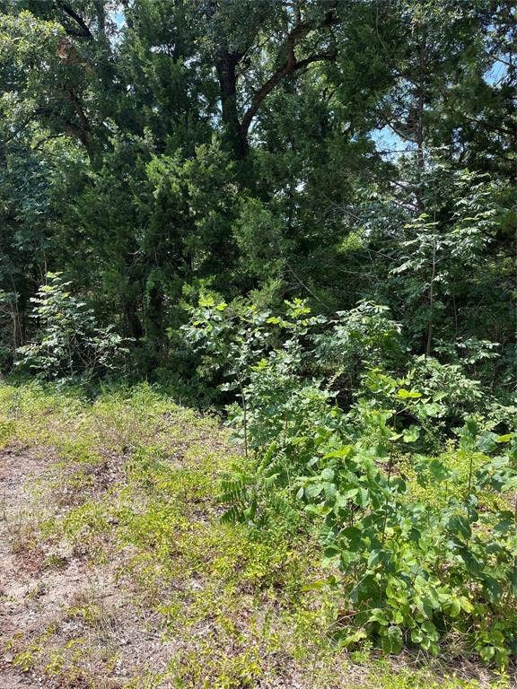106 Red Bluff Loop, Mabank, TX 75156 106 Red Bluff Loop, Mabank, TX 75156